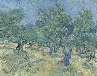 Vincent van Gogh, Olive Grove, July 1889. Photogra